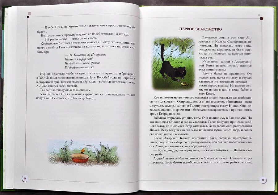 Каникулы кота Егора книга. Каникулы кота Егора иллюстрации. Каникулы кота егора