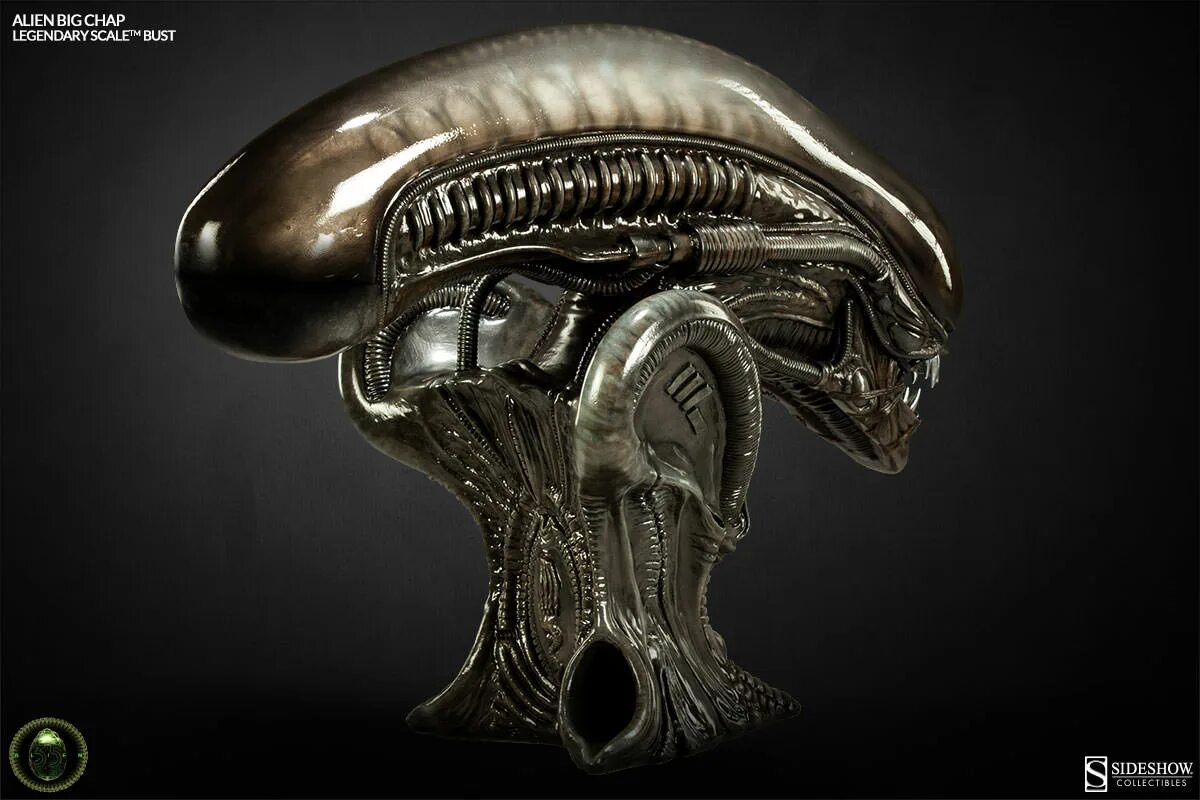 Голова чужого из фильма. Чужой 1979 космический жокей. Выполнение контрольной работы чужой головой. Ксеноморф. Выполнение контрольной работы чужой головой.