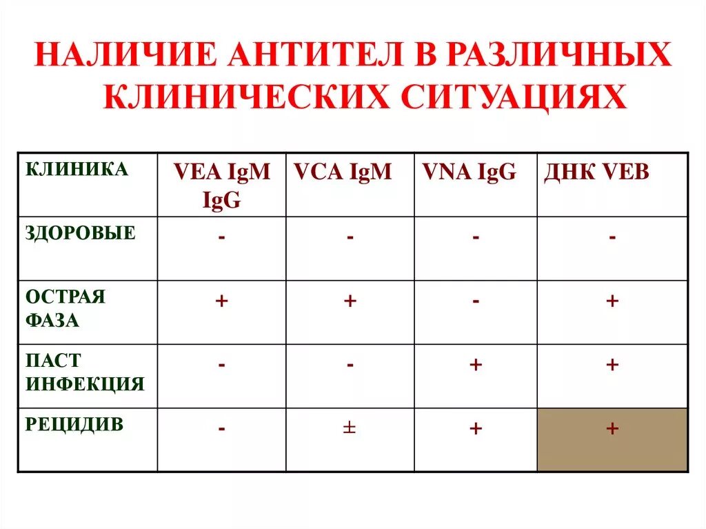 Вэб иммуноглобулины. Наличие антител. Антитела IGG. IGG-VCA антитела сколько. IGM антитела.