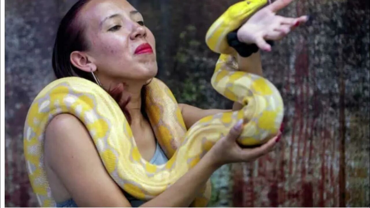 Девушка питона. Фотосессия со змеей. Питон извивается. Женщина с удавом ужастик.