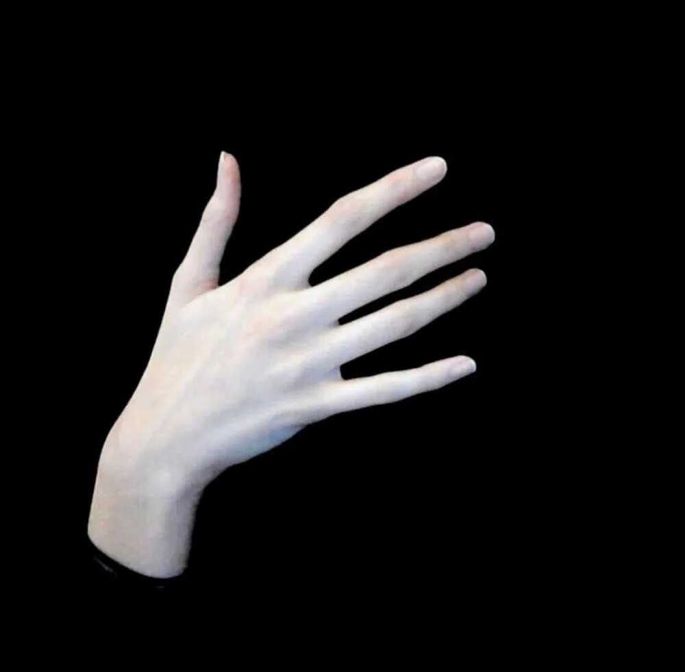 Белая ладонь. Белая рука. Тонкие руки. Худые пальцы. Длинные изящные пальцы.