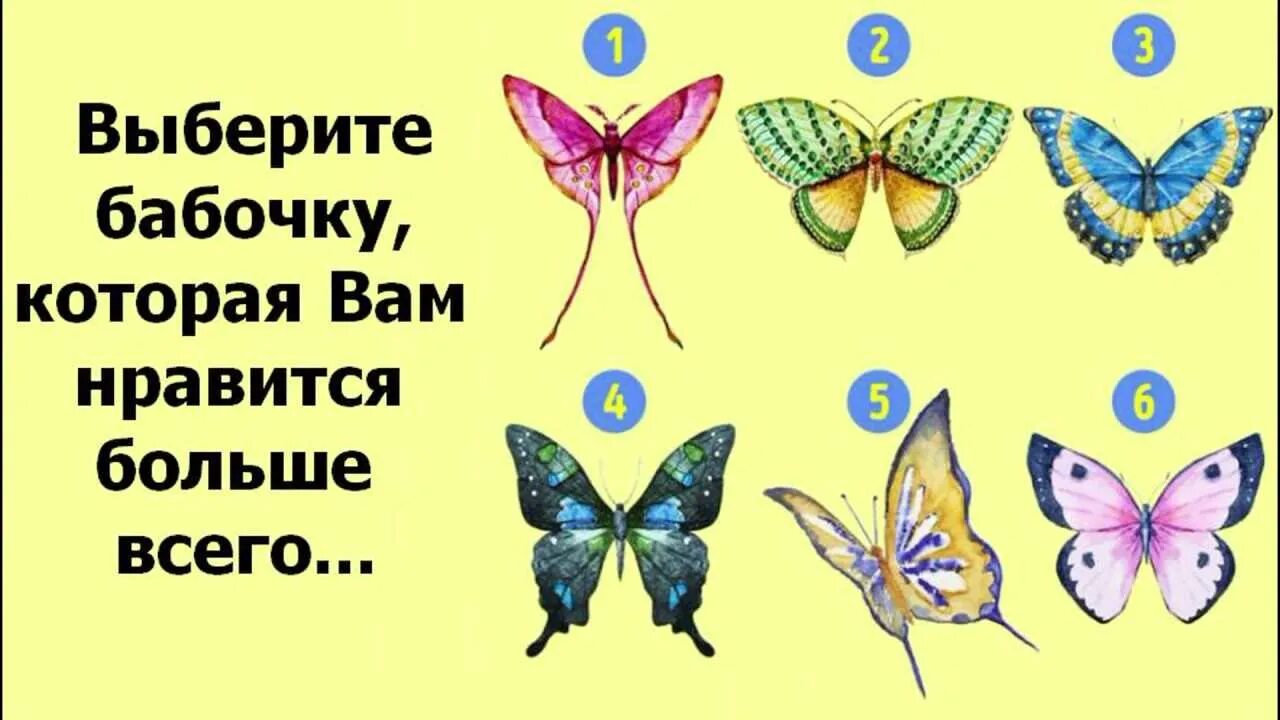 Бабочка значение символа. Каким символом является бабочка. тест выбери бабочку. выберите бабочку и узнайте. какую лучше выбрать бабочку.