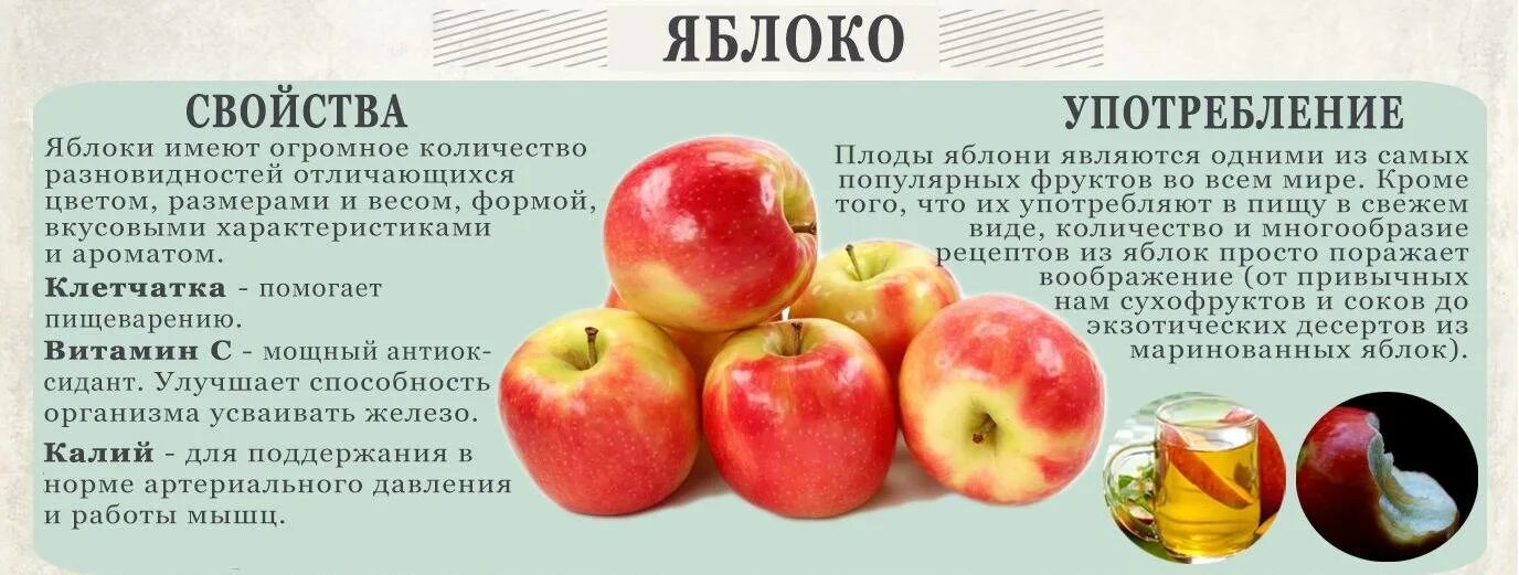 Полезные свойства яблок. Полезные качества яблока. Чем полезно яблоко для организма. Характеристика яблока. Влияет ли сорт яблок на скорость засушивания