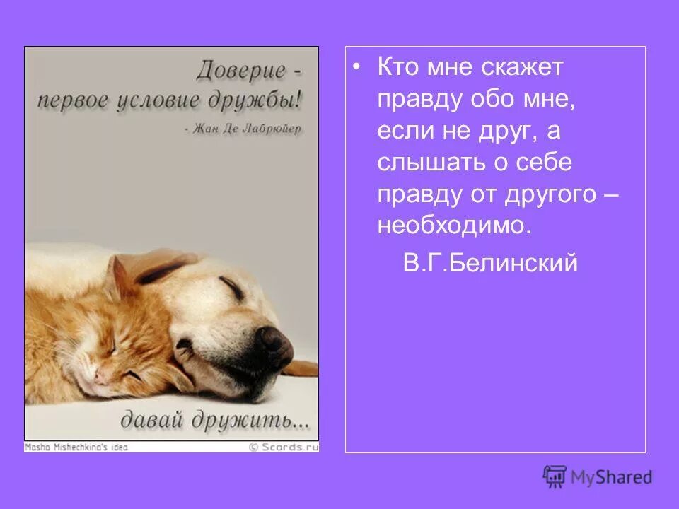 Доверие в дружбе. Доверие первое условие дружбы. Доверие и понимание. Понимание начало доверия а доверие первое условие дружбы. Доверие 1 условие