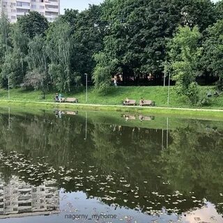 Назовите пруд