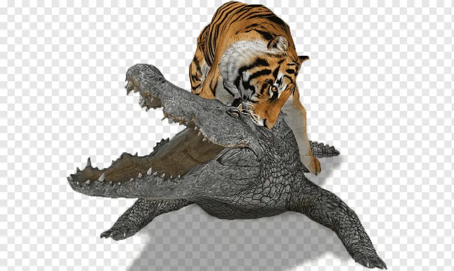 Тигр лев крокодил. Гребнистый крокодил против тигра.