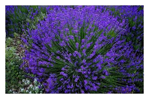 Дауыл Наталья секс