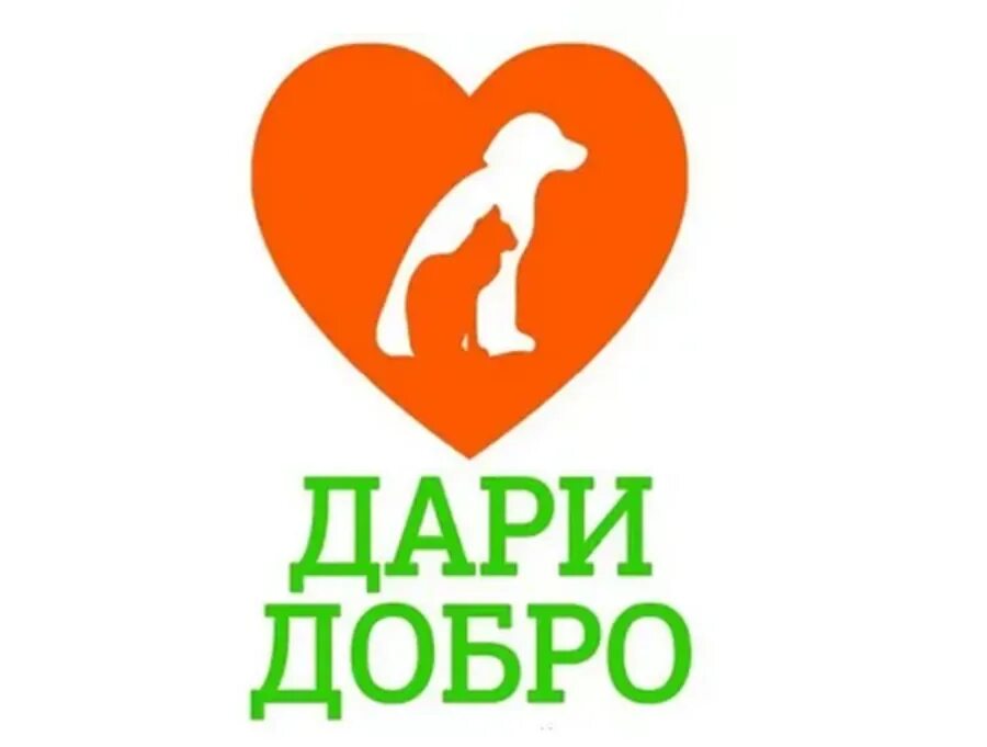 Картинка дари