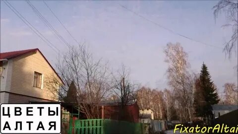 Мы с алтая цветочный магазин телеграмм