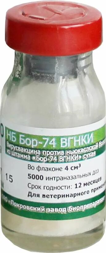 Вакцина против ньюкаслской болезни штамм Бор-74. Вакцина Бор 74 для голубей. Бор 74 ВГНКИ. Поливалентную вакцину ВГНКИ.