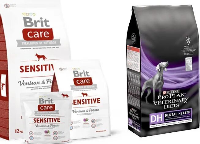 корм для кошек премиум супер-премиум холистик. лучший супер премиум корм для кошек. лучший супер премиум корм для кошек. корм для котов премиум класса список. корма для кошек премиум класса.