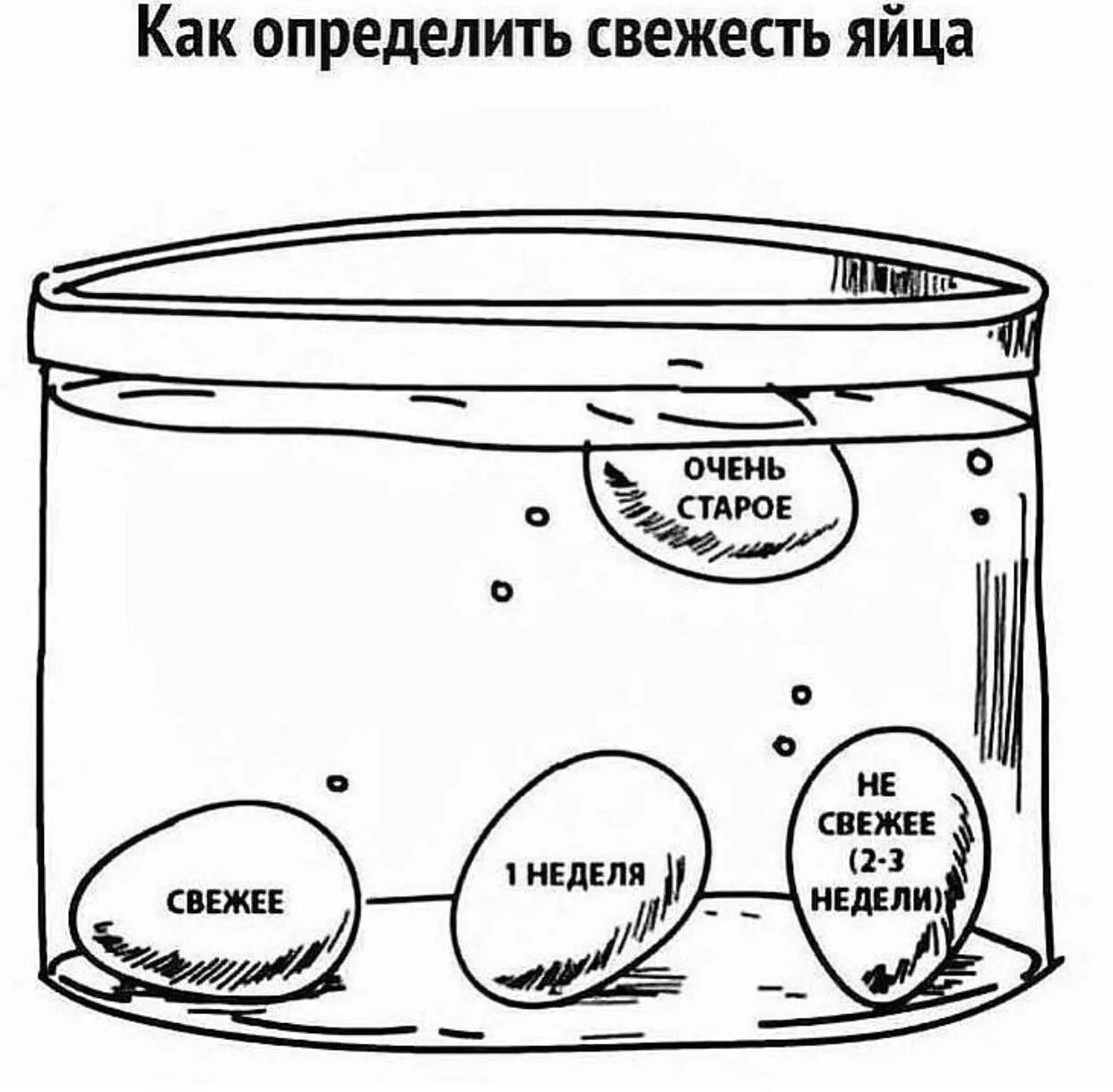 Как определить свежесть яйца. Какопрелелить сведестт яиц. КВК понять свежесть яйца. Как определить свежесть яйца в воде. Проверка яиц на свежесть