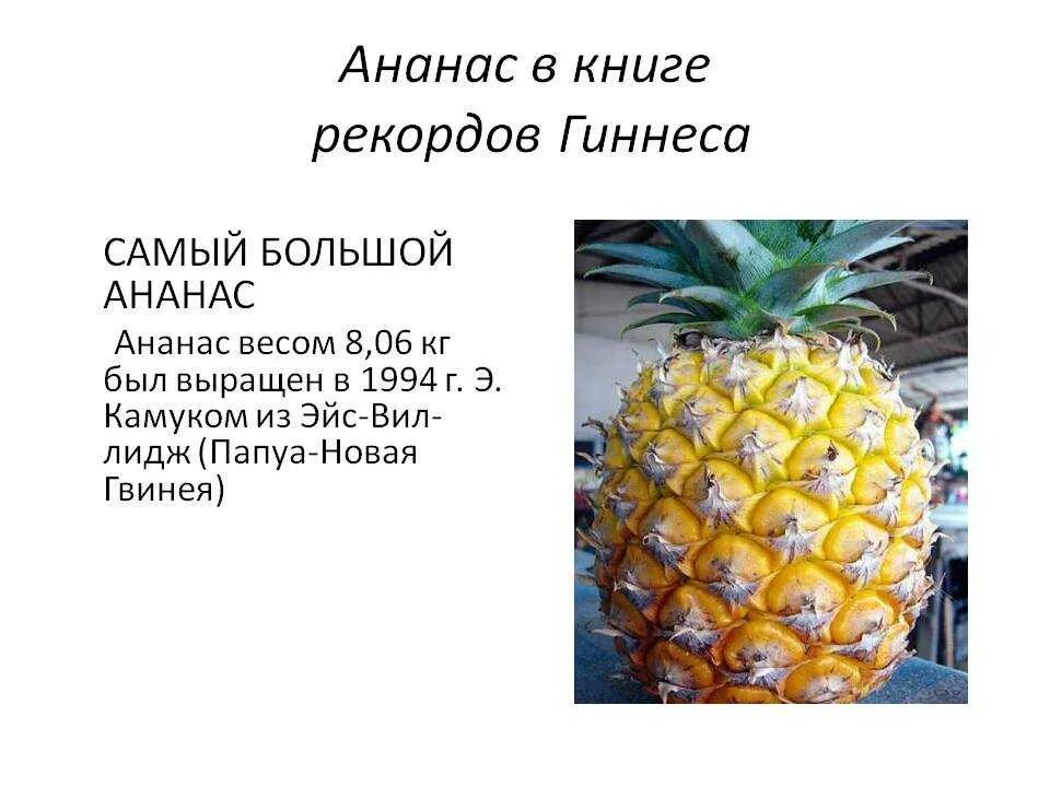 1 1 ананас. Интересные факты о ананасе. интересное про ананас. ананас для презентации. интересные факты про ананас для детей.