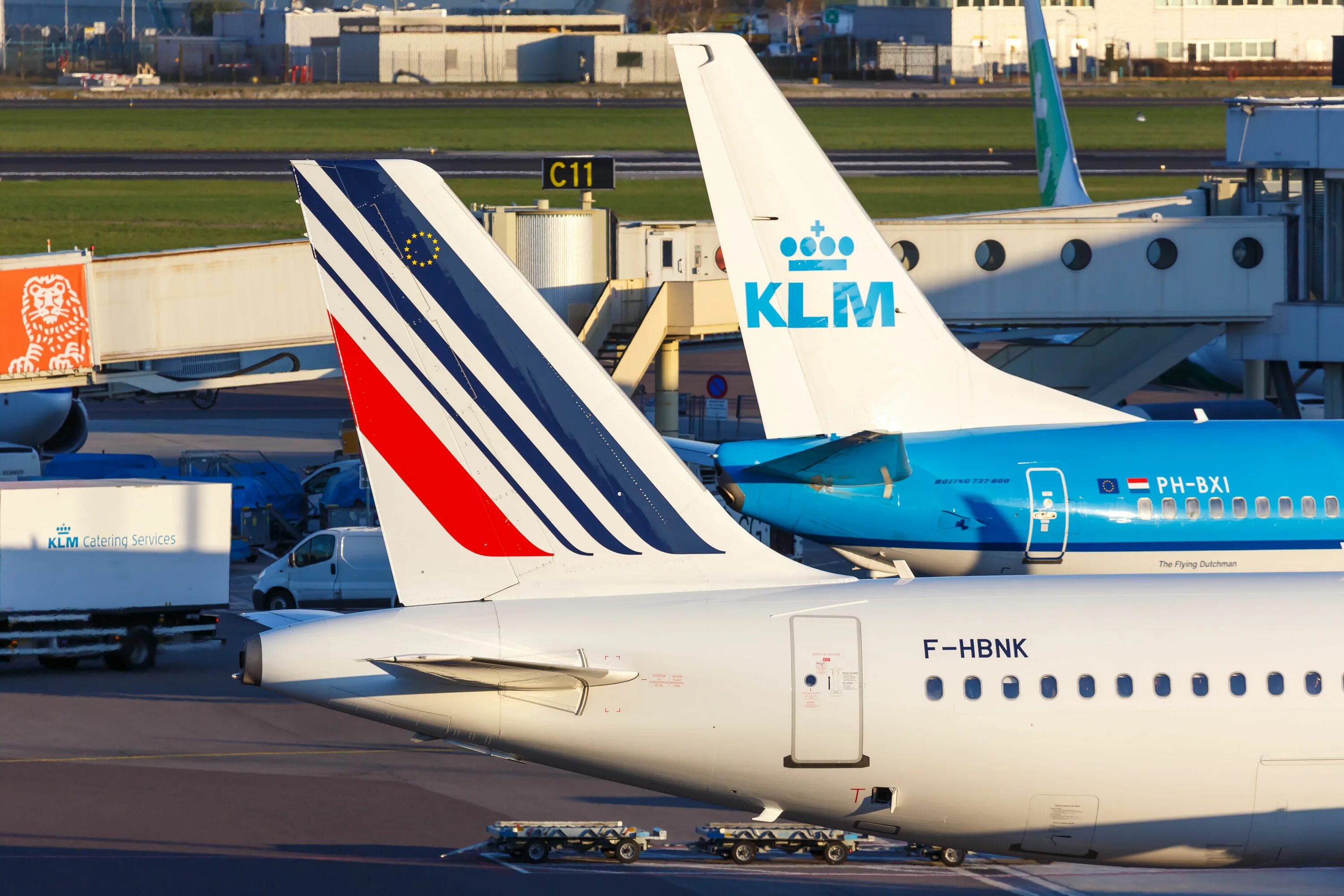 Including air. Эйр Франс КЛМ. Air France KLM самолет. Рейс 298 Air France KLM. Air France KLM топливо.
