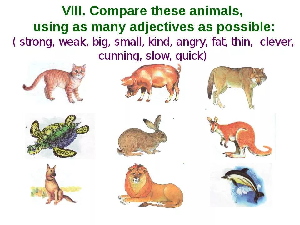 Compare animals. Сравнение животных на английском. Животные для сравнения на английском. Comparison в английском языке животные. Открытый урок на тему animals.