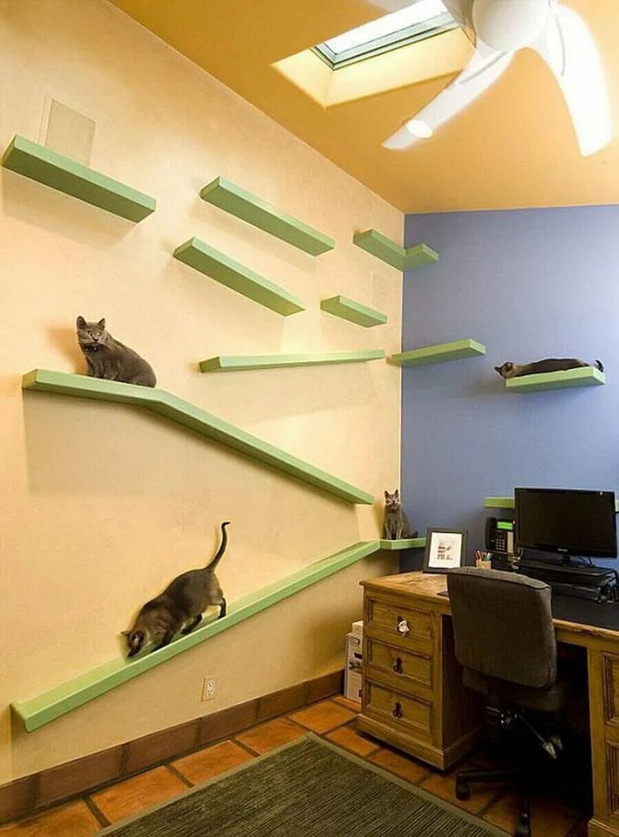 Развлечения для котов. Полки для кошек на стену. Комната для кошек. Полочки для кошек на стене. Домик для кошки на стене.