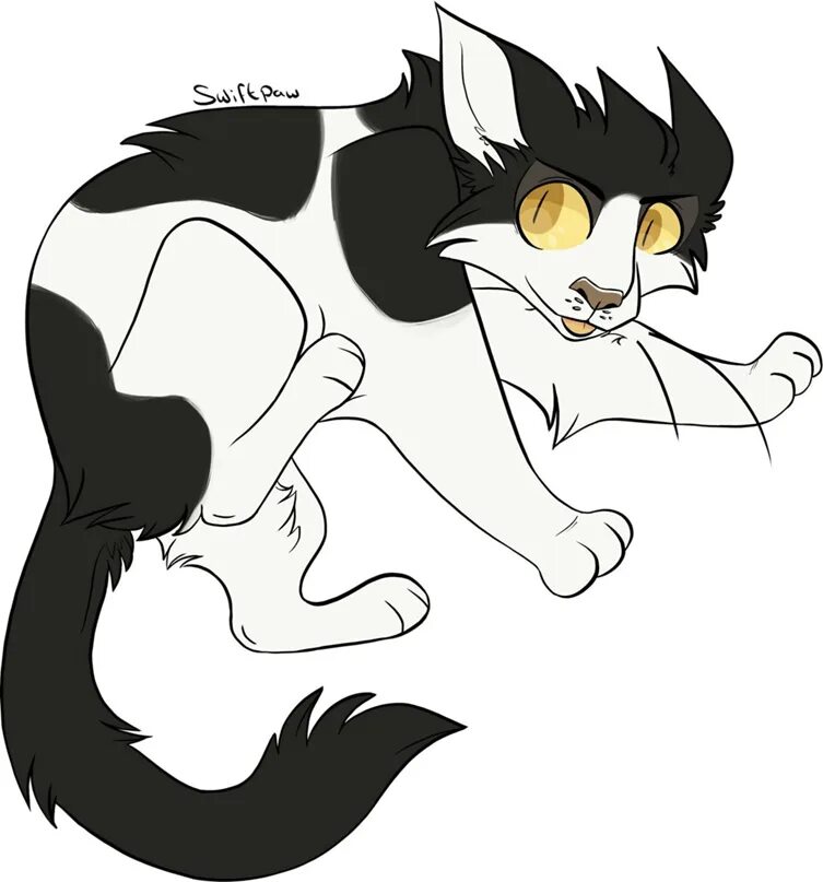 Коты воители быстролап. Коты воители быстролап арт. Коты воители быстролап арт. Коты воители быстролап. Быстролап коты воители коты.