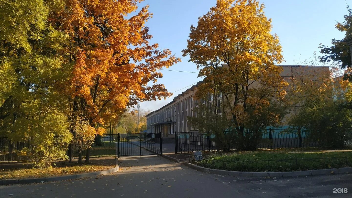 Петербургу 316. Петербургу 316