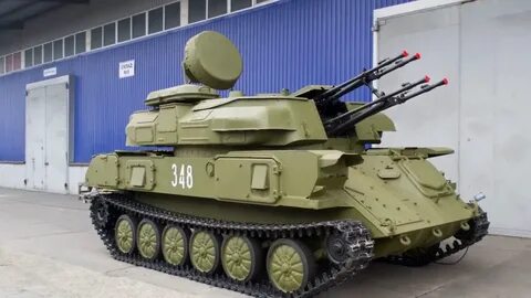 Зу шилка