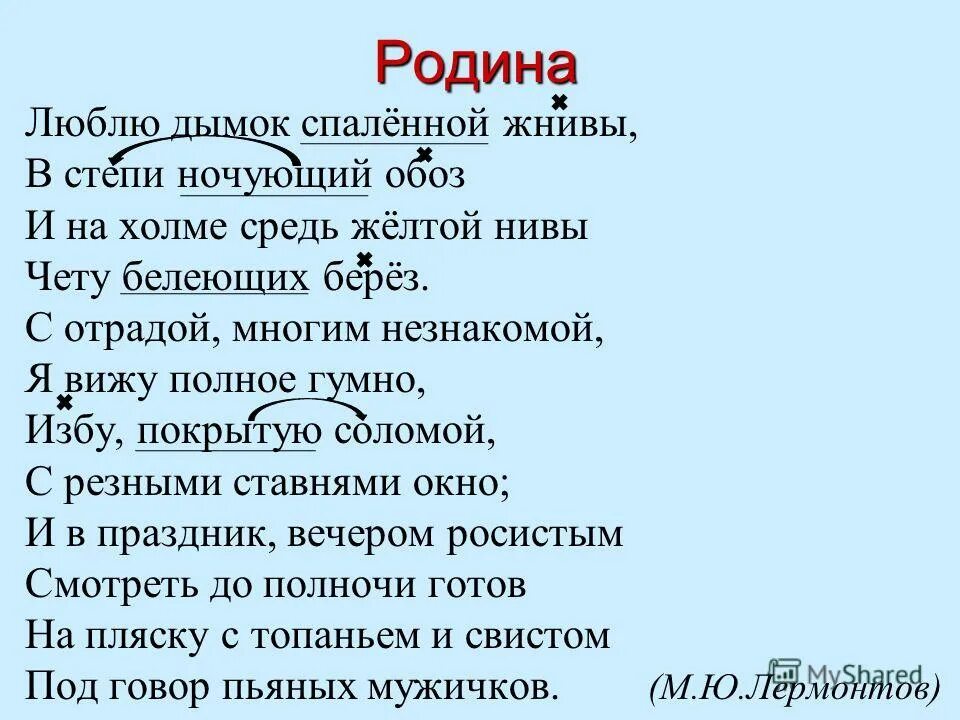 ее лесов безбрежных колыханье разливы. стихотворение лермонтова русь. с отрадой многим незнакомой я вижу. стихотворение м. родина стихотворение лермонтова.