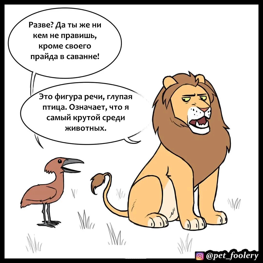 Звери надо сразу уходить. Комиксы про Львов. Царь зверей. Лев юмор. Лев царь зверей комикс\.