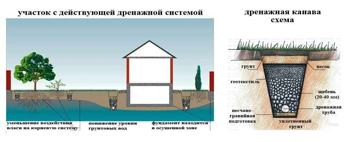 Как осушить участок от грунтовых вод. Дренаж грунтовых вод на участке схема. Дренаж отвод грунтовых вод схема. Дренаж почвы на участке от грунтовых вод. Схема устройства дренажной трубы.