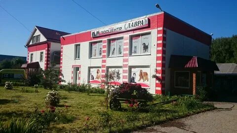 Круглосуточные лобня