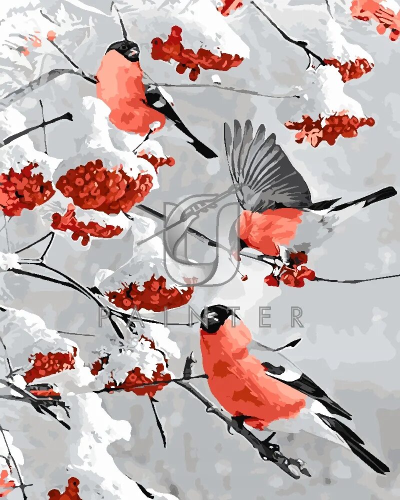 Снегири в живописи. Задачи про птиц. Снегири рисование по номерам. Логические задачи с птицами. Картина по номерам снегири.