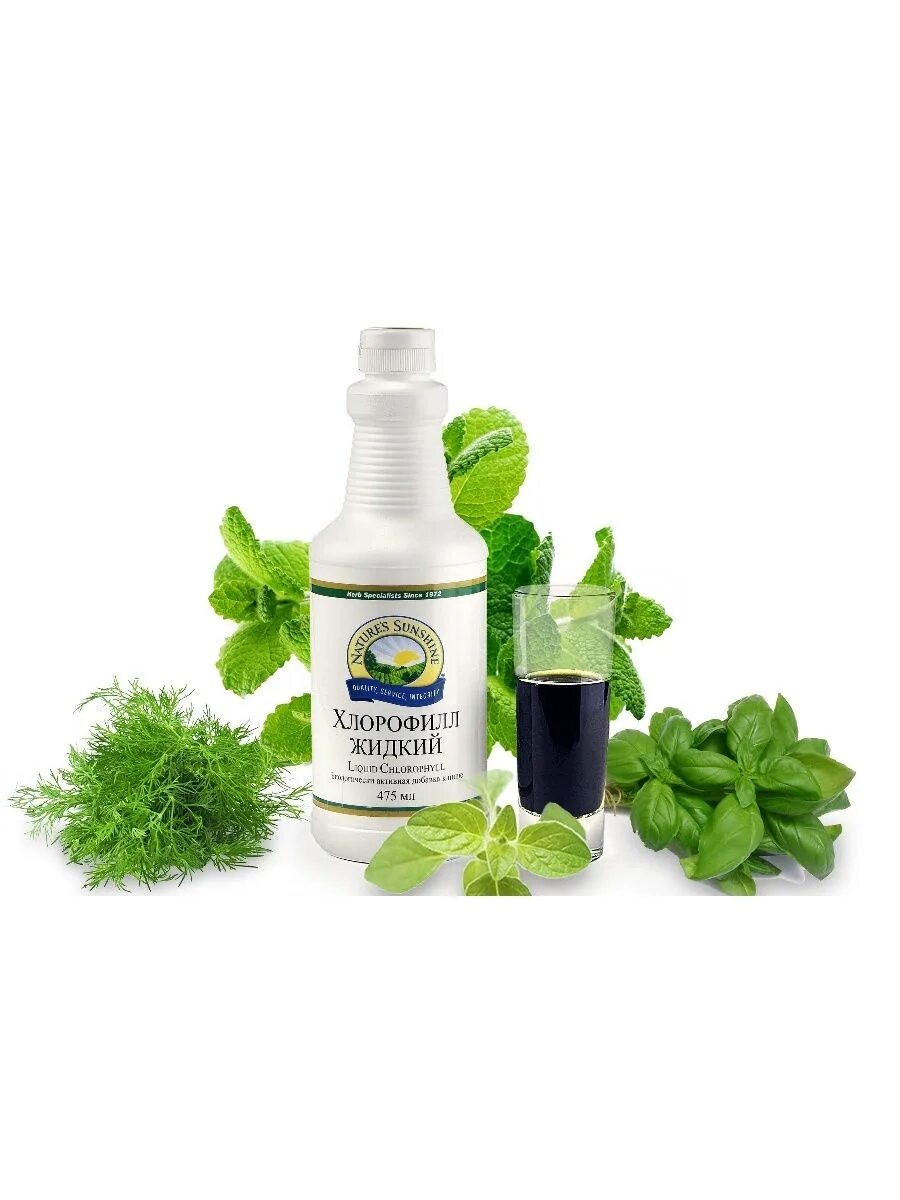Хлорофилл напиток. Natural sunshine products хлорофилл. Хлорофилл жидкий архангельский водорослевый комбинат. Хлорофилл жидкий архангельский водорослевый комбинат. Детокс жидкий.