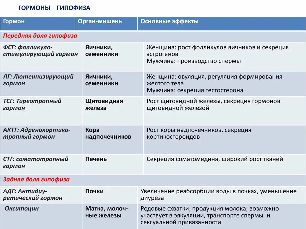 Гормоны переднего гипофиза. Гипофиз тропные гормоны таблица. Гормоны гипофиза и их функции таблица. Гормоны гипофиза и органы мишени. Гормоны задней доли гипофиза и их функции.