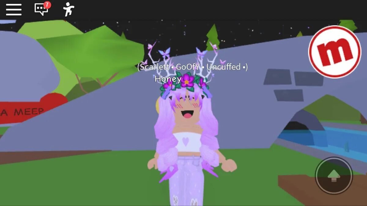 Что случилось с роблокс квин. Roblox queen фото. queen роблоксерша. roblox queen лицо. тирс роблокс.