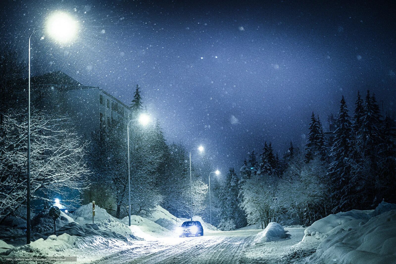 Зима ночь. Снежная ночь. Зимний ночной пейзаж. Ночь зимой.