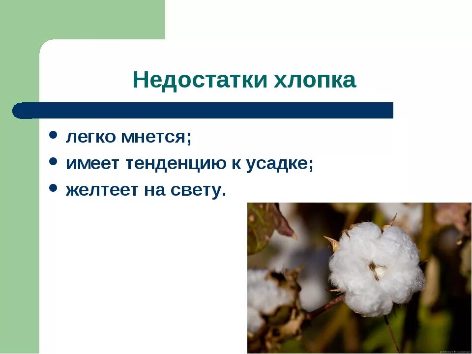 Презентация на тему хлопок. Хлопки для презентации. Доклад на тему хлопок. Проект о хлопке. Правило хлопка