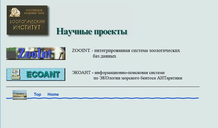 Сайт института. Зоологический институт Российской Академии наук логотип. Сайты 2001 года. Сайты 2001. 2001.