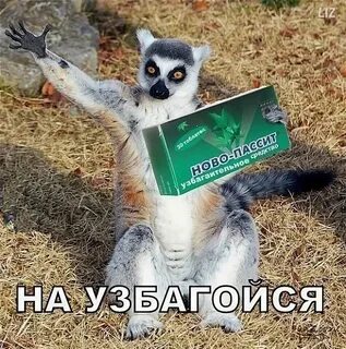 Мем узбагойся картинки