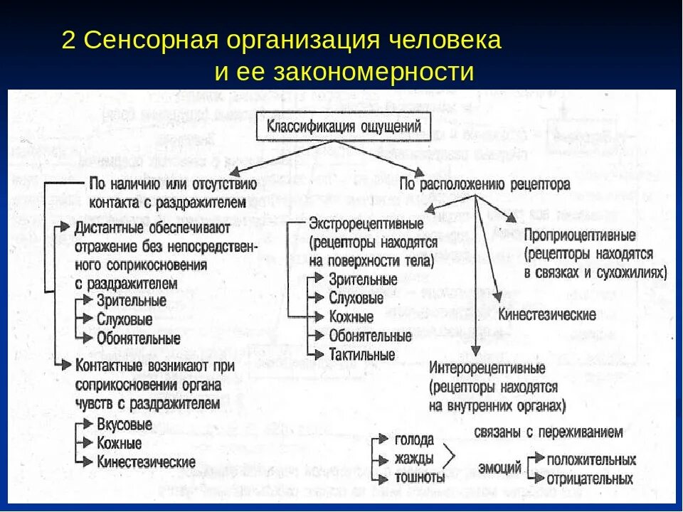 Уровни организации психического. Классификация ощущений и сенсорных систем. Классификация ощущений таблица. Классификация ощущений в психологии. Классификация ощущений схема.