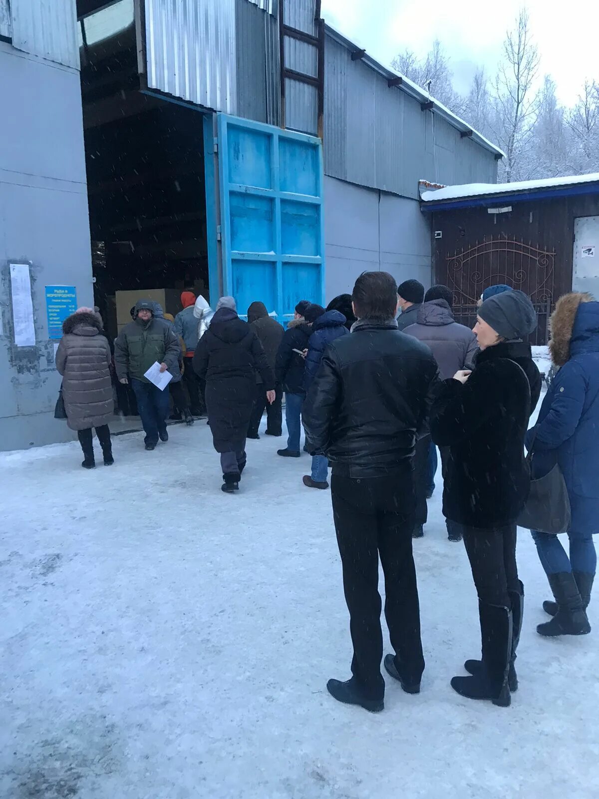 Ульяновская 19 петергоф. Петергоф ульяновская 19 рыбная база. ульяновская 19 петергоф рыба. рыбная база на ульяновской в петродворце.
