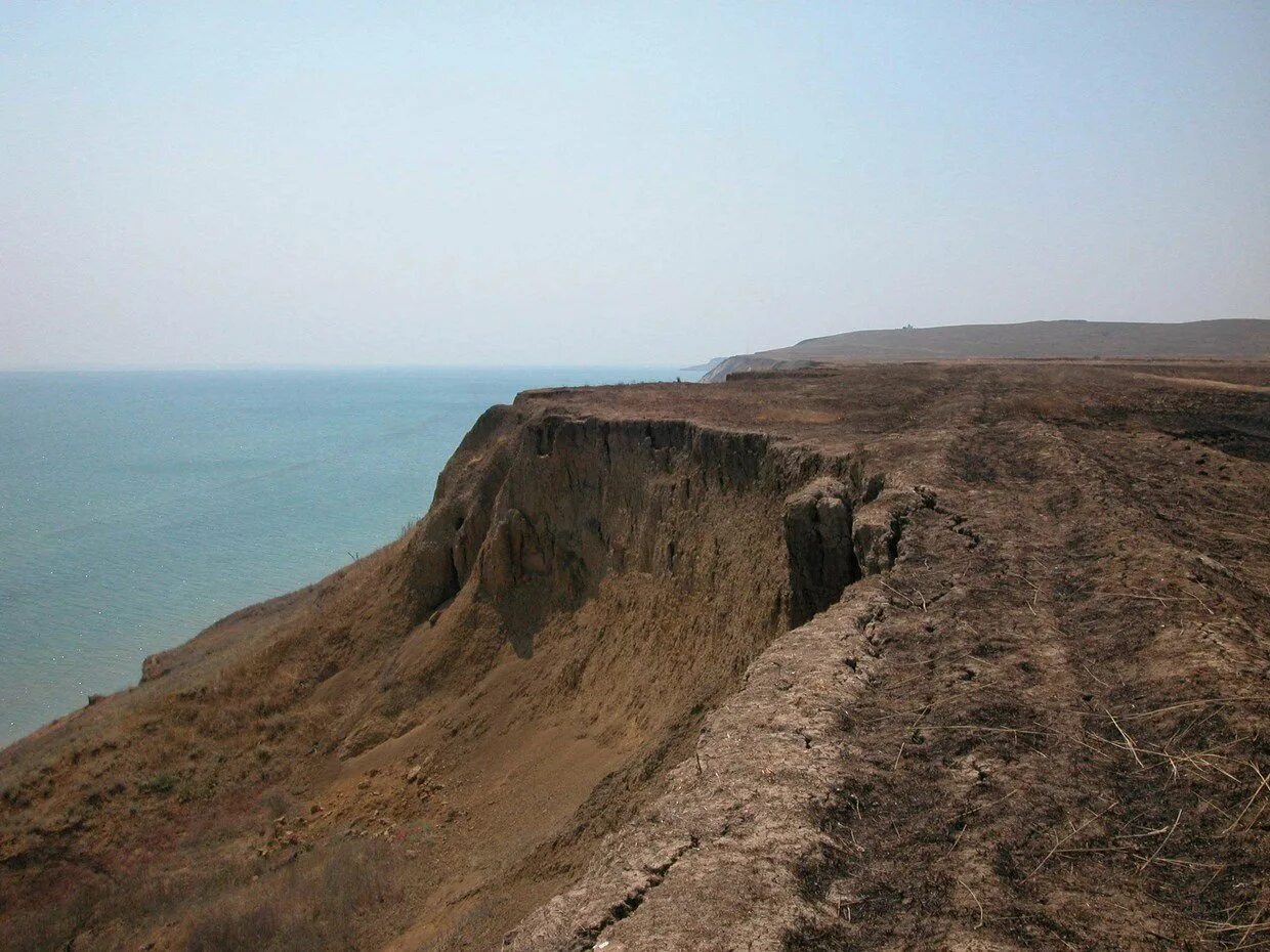 Тамань веселовка