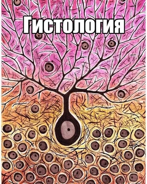 Лекции по гистологии. Конспекты по гистологии. А. Тетрадь гистология. Тетрадь по гистологии.