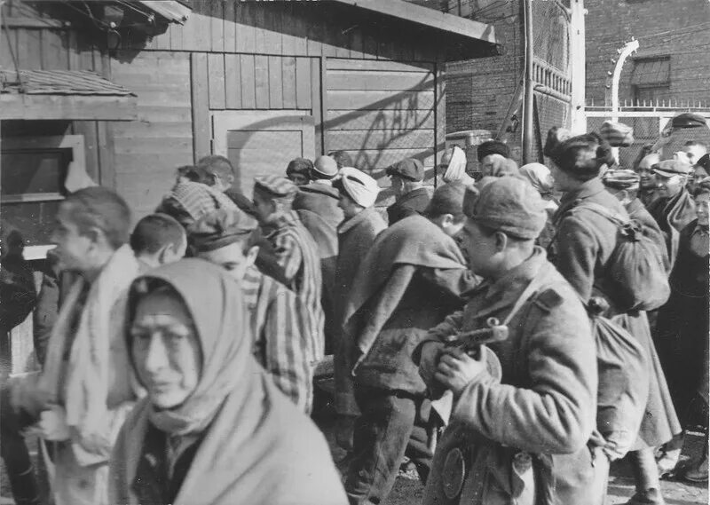 Освобождение узников освенцима 1945. Освобождение лагеря освенцим красной армией. Освобождение узников освенцима 1945. Освобождение узников освенцима 1945. Освобождение узников освенцима 1945.