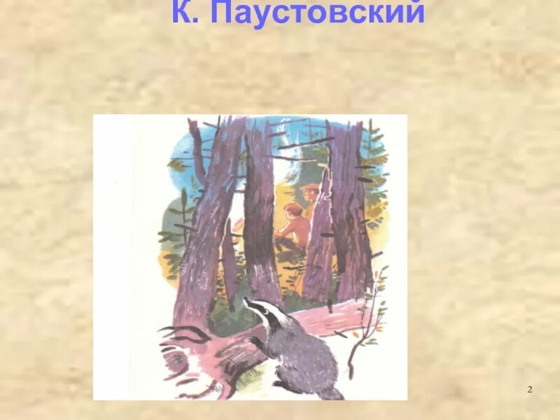 К. Паустовский "барсучий нос". Паустовский барсучий нос 3 класс. Паустовский барсучий нос рисунок к рассказу. Паустовский барсучий нос раскраска. Паустовский барсучий нос 3 класс презентация