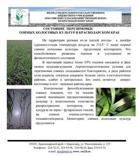 Озимые культуры яровые культуры пар