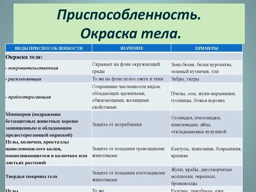 Адаптация характеристика и примеры. Приспособительное Особености строения и поведения животных. Типы окраски животных. Приспособительные особенности строения. Виды приспособленности.