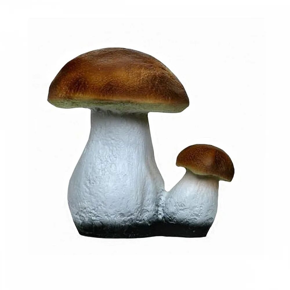 Белый гриб Боровик. Картинка гриб подберезовик на белом фоне. Грибы на белом фоне. Белый гриб на белом фоне. Грибочки 2