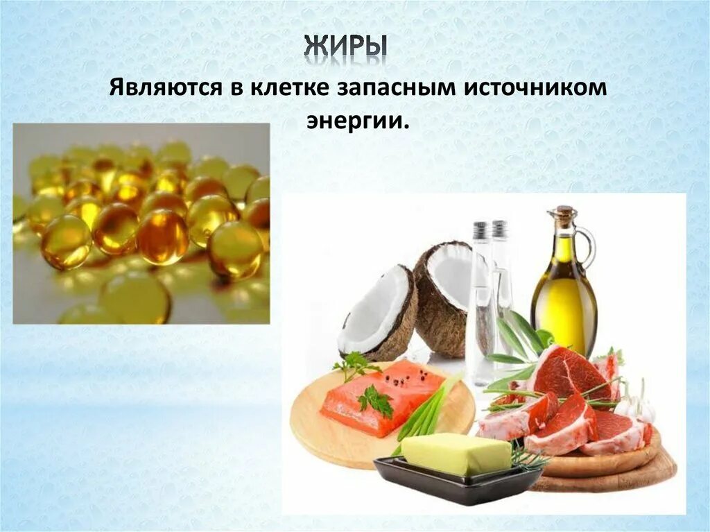 Жиры являются источниками каких веществ. Жиры. жиры в пище. жиры роль в питании.