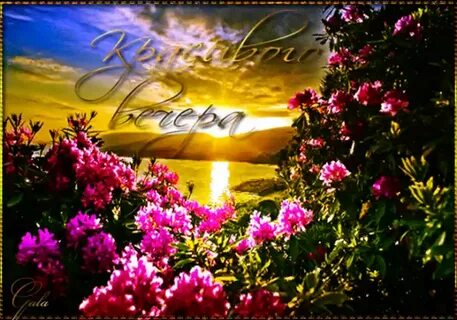 Природа утро мерцающие картинки