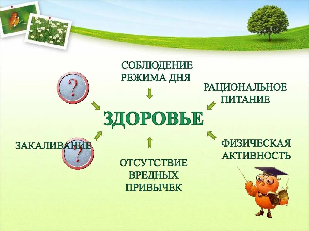 Что относится к слагаемым здорового образа жизни. Слагаемые здорового образа жизни. Слагаемые здоровья картинки. 5 Слагаемых здоровья. Пять слагаемых здоровья в библиотеке.