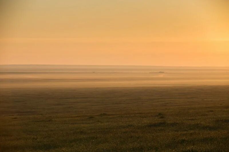 Степь вечером. Утренняя туманная степь. Поля в нью мексико. Солнце в степи. Арысь лето степь.