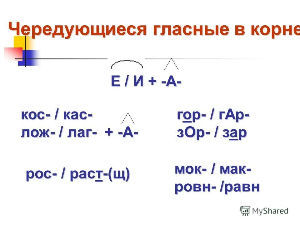 диктант кос кас лож лаг