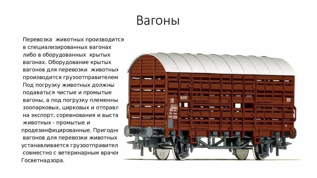 Виолончель перевозится в вагоне поезда. Перевозка живности в вагонах. Вагон для перевозки животных. Вагон для перевозки ценностей. Вагон с провозом животных.